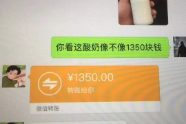 巴中巴中专业催债公司，专业催收